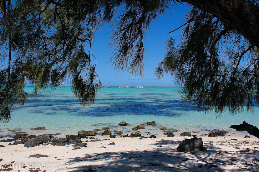 Ile aux Cerf 1