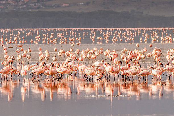 Marvel At The Rift Valley - 1