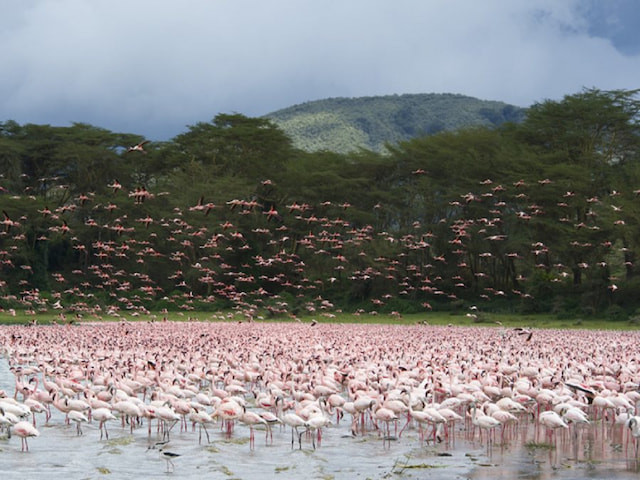 Marvel At The Rift Valley - 4