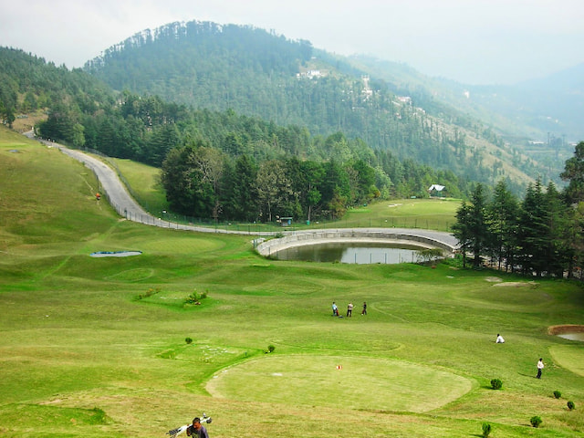 Golf Course in Naldehra