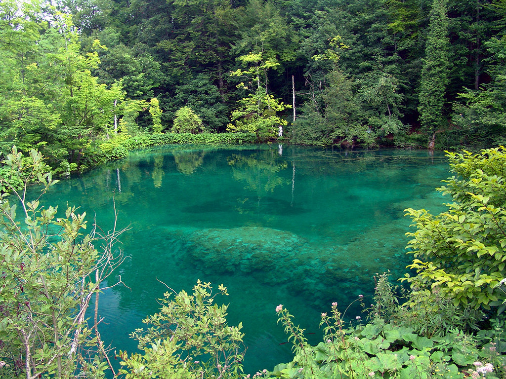 Plitvice Lakes National Park Tour from Zadar - 1