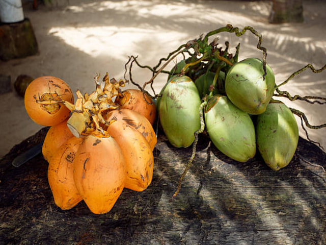 Refresh Yourself with an Orange Coconut - 1