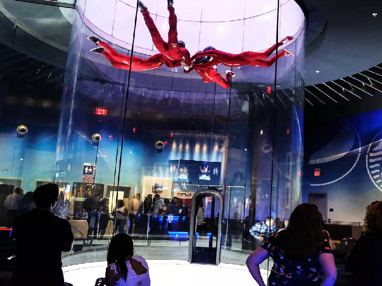 Skydive Without A Plane