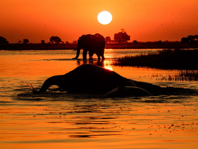 Sunset-Boat-Cruise-At-Chobe-National-Park-1