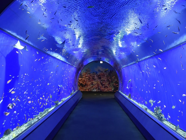 Tempozan Harbor Village - 1