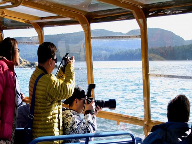 Whale Watching From Vancouver -1