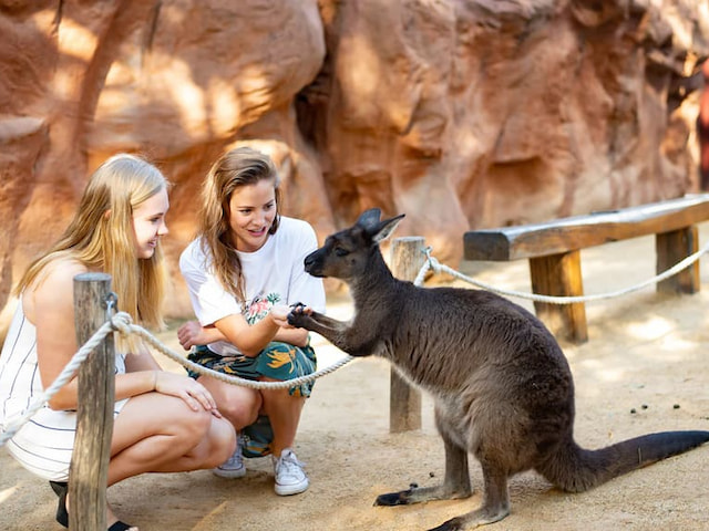 Sydney Tower with 4D, Wildlife Zoo, Sea Aquarium, Madame Tussauds - 1