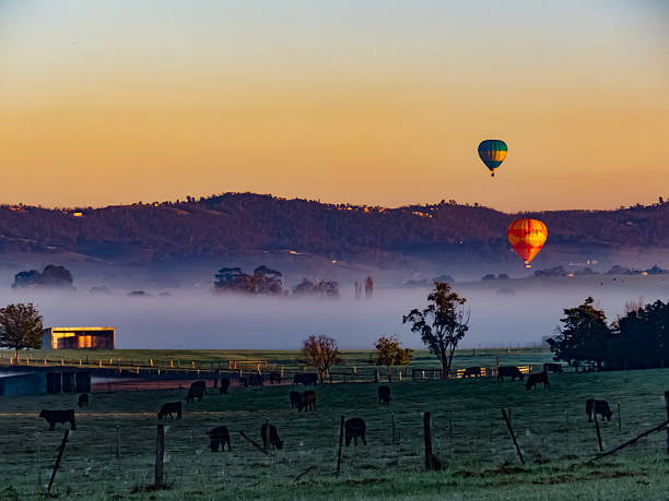 Go Hot Air Ballooning across the picturesque Yarra Valley -1