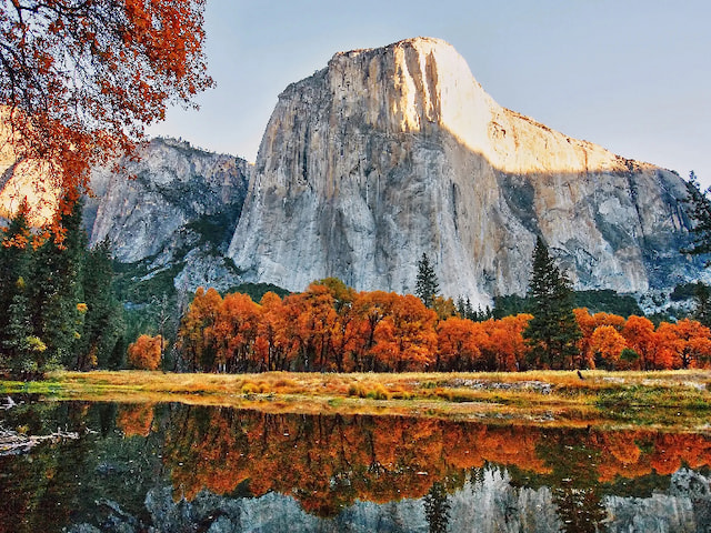 Tramp in Yosemite National Park - 1
