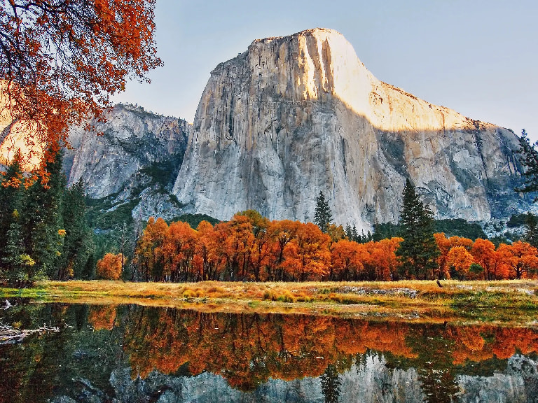 Tramp in Yosemite National Park - 1