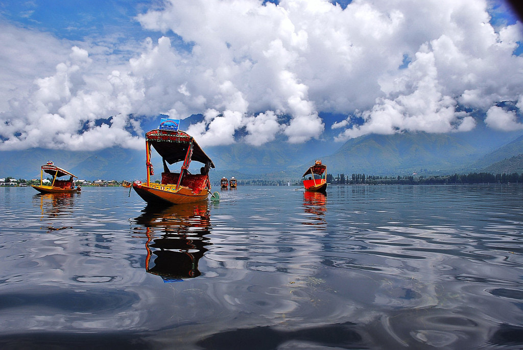 Dal-Lake 1