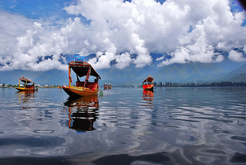 Dal-Lake 1