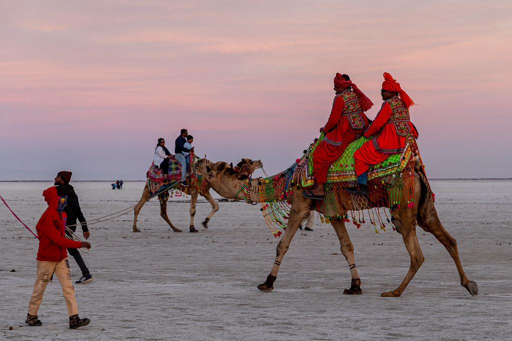 Explore Rann of Kutch - 1