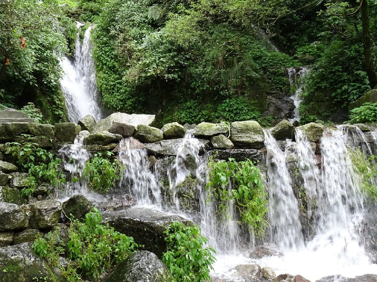 Panch Pulla – Experience The Magic Of Whispering Woods