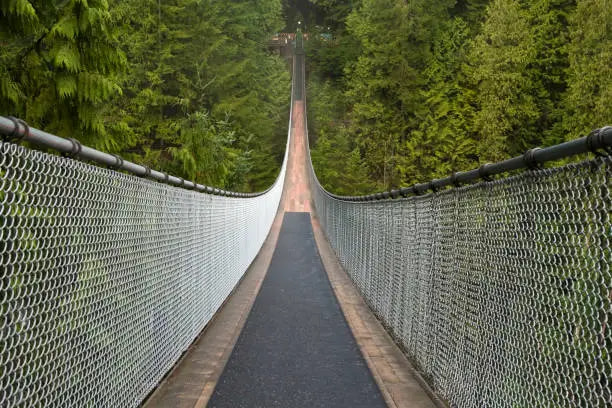 Capilano Suspension Bridge - 1