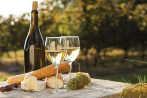 Why Is Wine Tasting In South Africa Famous?