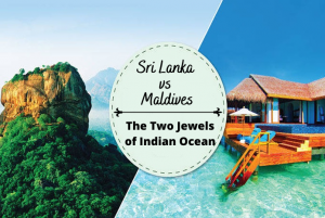Sri Lanka vs Maldives: 5 Key Differences That Will Surprise Every Traveler!