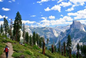 Discovering Blooms: 10 Places to visit in May outside India in 2025!