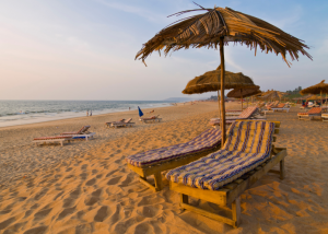 A Luxurious Haven: 5 Best Villas in Goa for Your Dream Vacation in 2025!