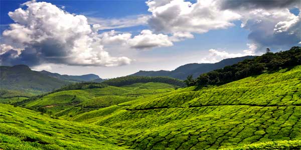 Beautiful Places to Visit in Kerala to make your Honeymoon Mesmerizing!!!