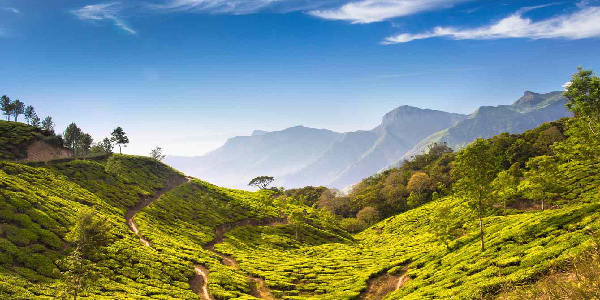 20 Best Places To visit In Winter In India - Flamingo Transworld