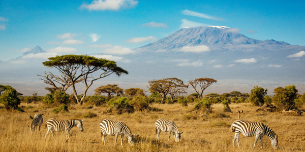 7 Places in Kenya Making It a Beautiful Country! - Flamingo Transworld