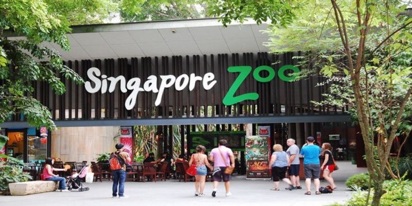 Best sightseeing to explore in Singapore - Flamingo Travels Blog