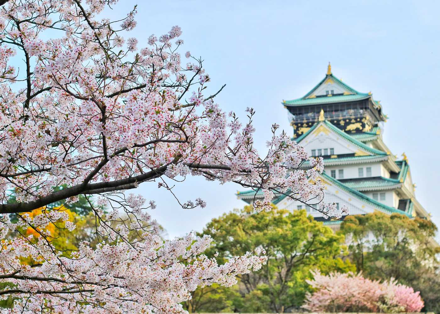 From Mt. Fuji to Tokyo Tower: 7 Reasons to Visit Japan!