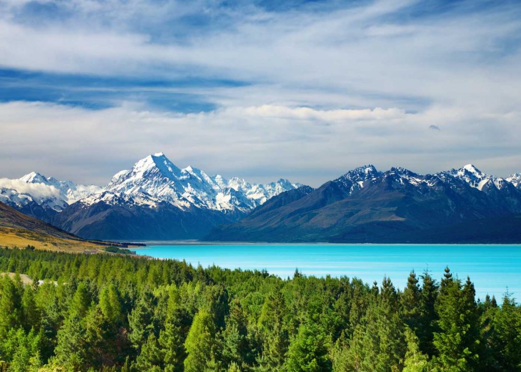 New Zealand In December 2024 – Weather, Insider Tips, Best Time to Visit, and Things to Do!